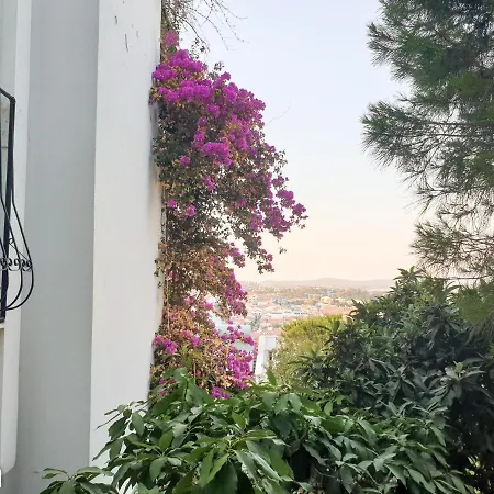 Large Duplex Apartment With Amazing Sea View * 达特恰