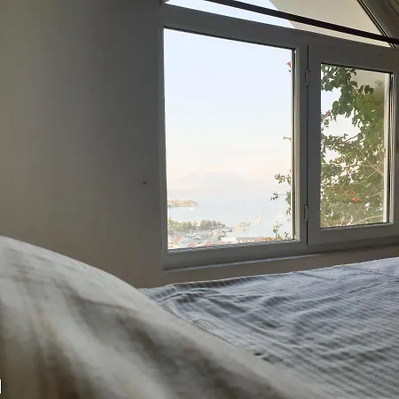 度假居 Large Duplex Apartment With Amazing Sea View 达特恰